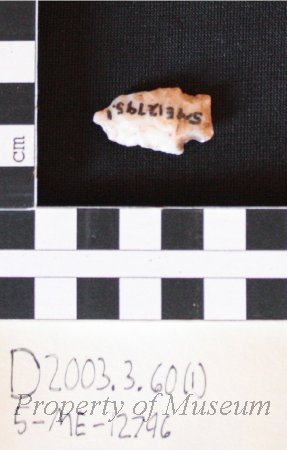 1. Archaic P.P. Uncompahgre Complex Type #31. Re-Worked into a Drill.
