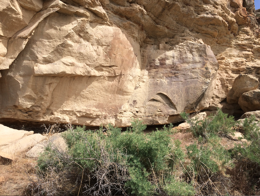Ute Shields In Canyon Pintado.